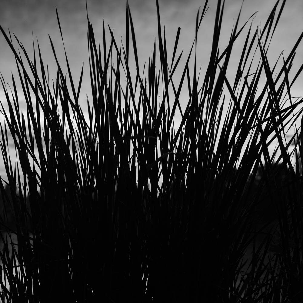 Stacks Image 274