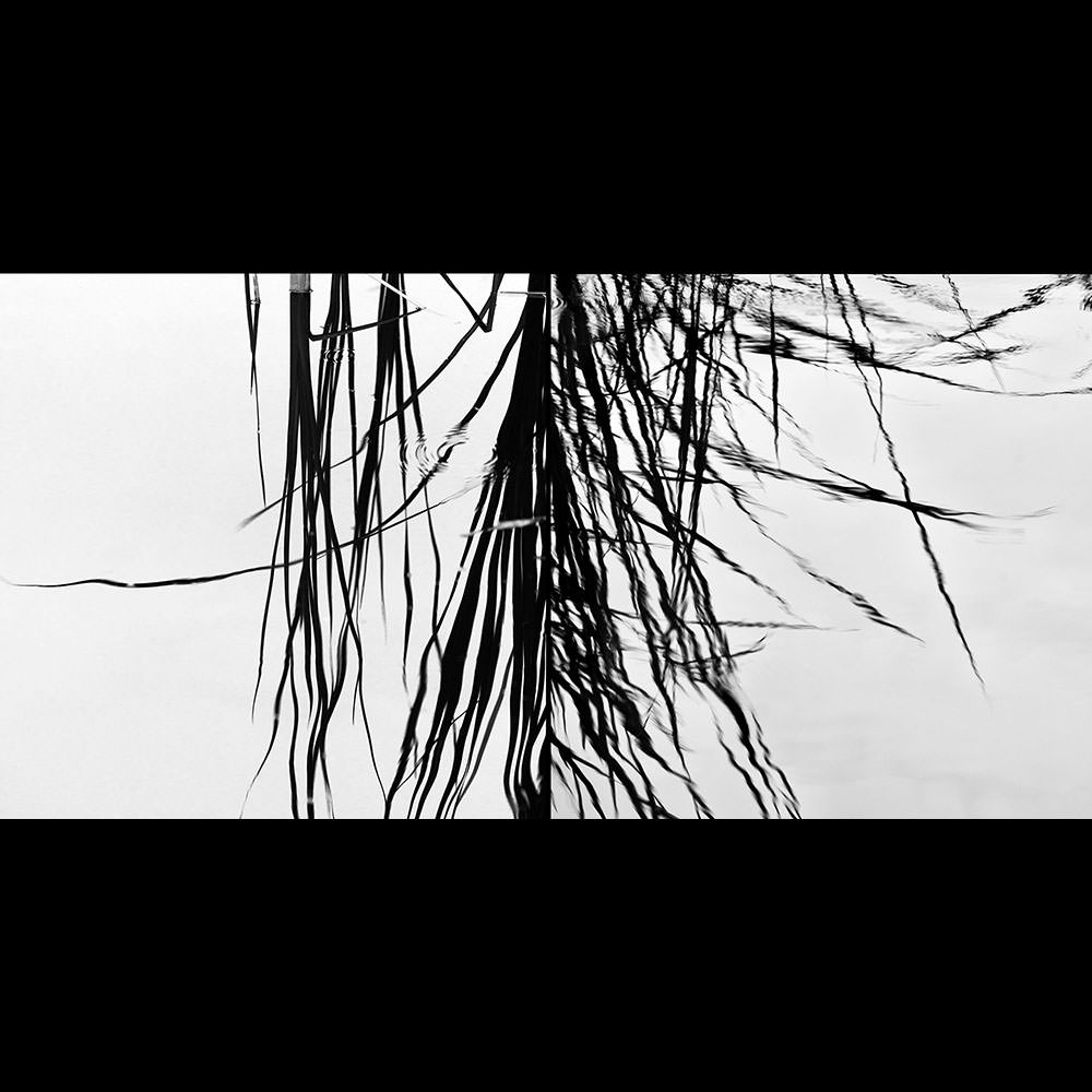 Stacks Image 310