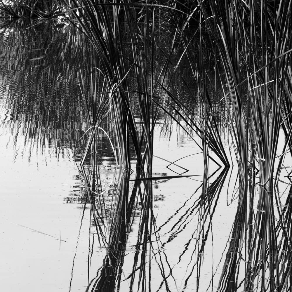 Stacks Image 302