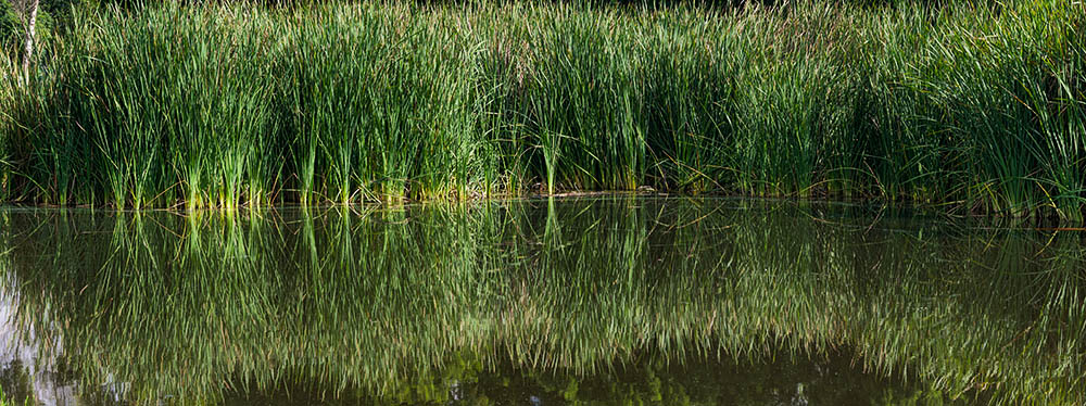 Stacks Image 357