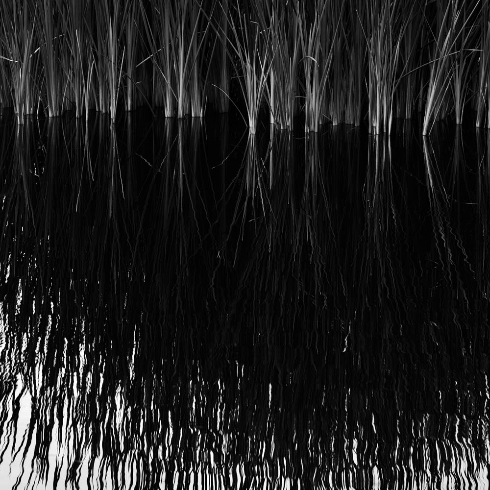 Stacks Image 312
