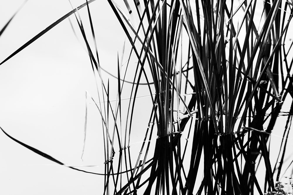 Stacks Image 314