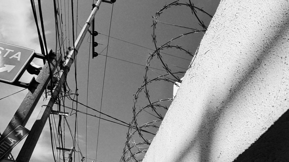 DF 015