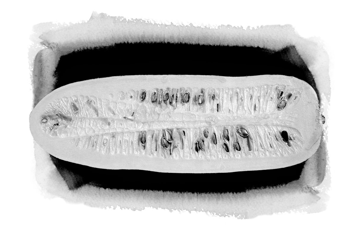 NM 001