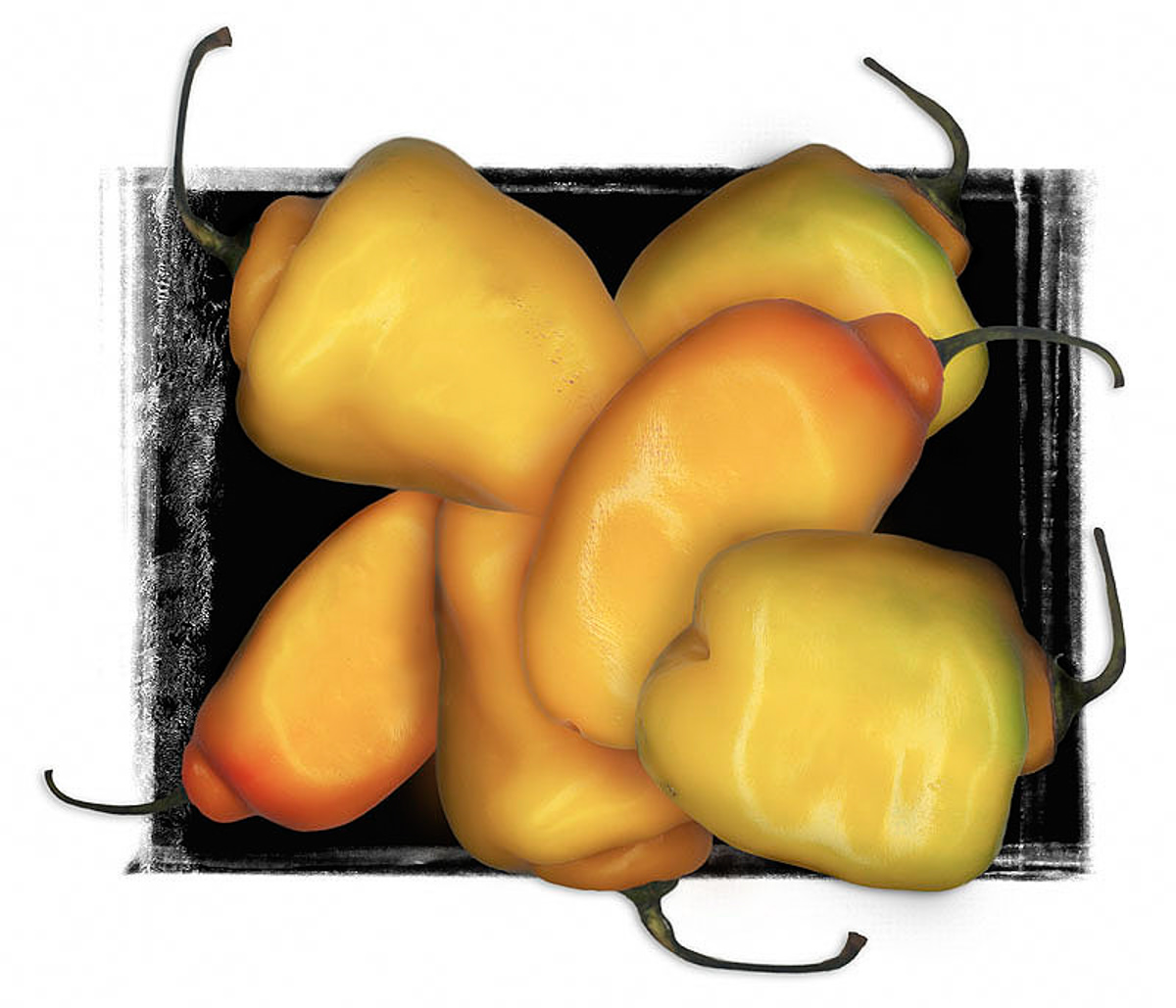 NM 010