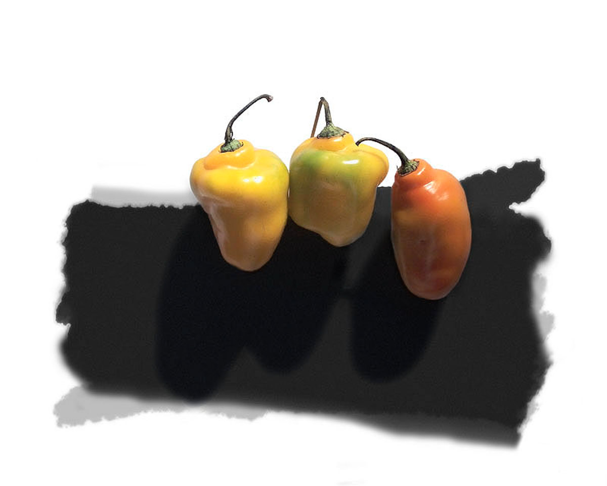 NM 011