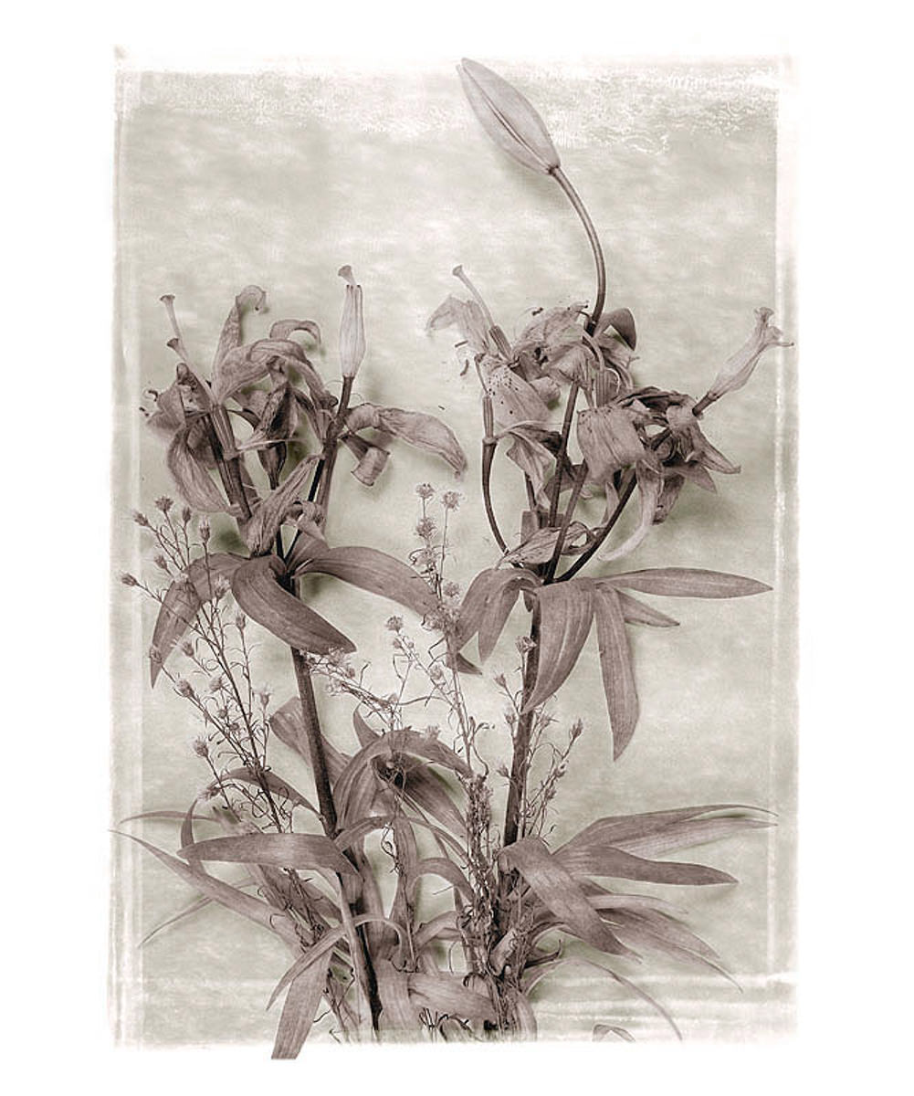 NM 014